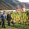 Weingut Ferdinand Denk