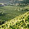 Weingut Franz Hirtzberger