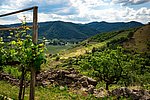 fruehling_in_der_wachau_c_schmatz-5778.jpg